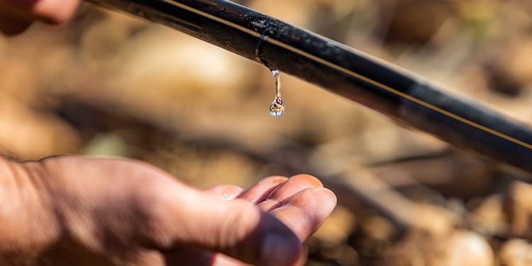 Irrigazione di precisione: usiamo l'acqua in modo efficiente