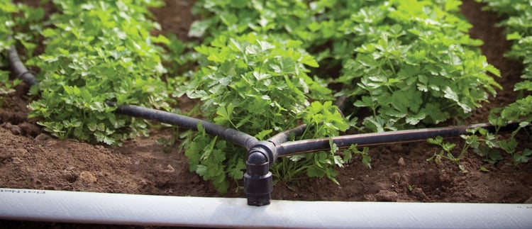 Prodotti e soluzioni per l'irrigazione di precisione