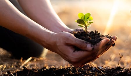 Quale impianto di fertirrigazione scegliere per le tue colture