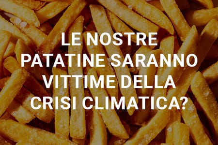 Colture a rischio: come il cambiamento climatico influenza i nostri sapori preferiti