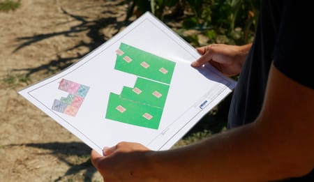 L’importanza di una progettazione idraulica: coltivare efficienza, risparmio e sostenibilità