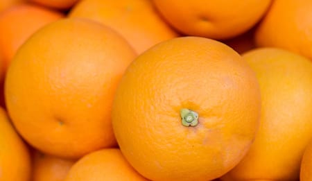 L'irrigazione a goccia: un “must” per il settore vivo e trainante dell’Agrumicoltura italiana