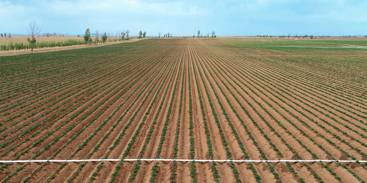Irrigazione di precisione per pieno campo