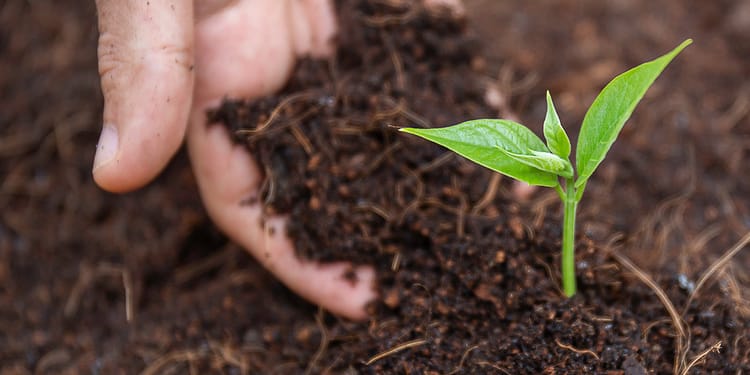 Netafim & Agricoltura 4.0