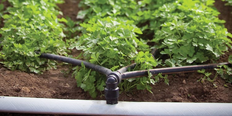 Prodotti e soluzioni per l'irrigazione di precisione