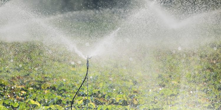 Irrigatori e micro-irrigatori