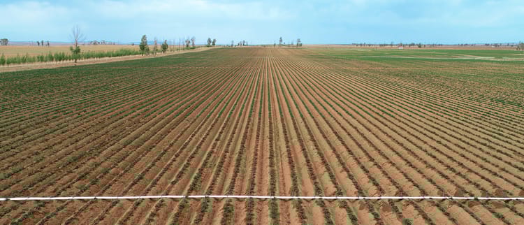 Irrigazione di precisione per pieno campo