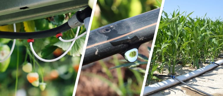 Per te accesso a contenuti esclusivi