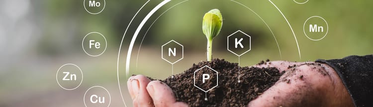 Banner Fertirrigazione a goccia: come tagliare i costi del fertilizzante fino al 50%