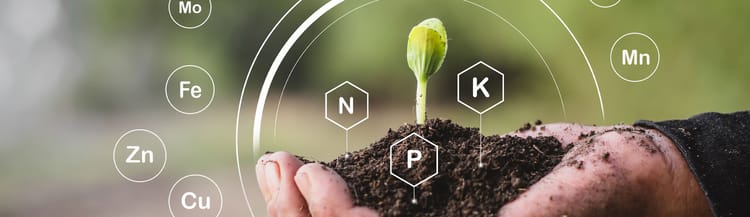 Banner Fertirrigazione a goccia: come tagliare i costi del fertilizzante fino al 50%