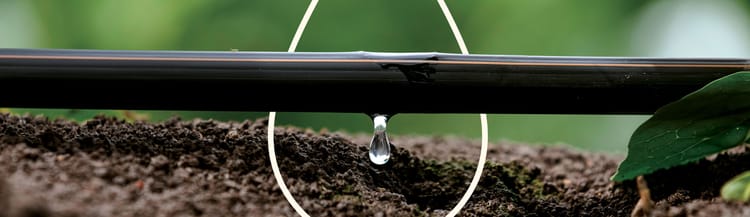 Banner Fertirrigazione a goccia: come tagliare i costi del fertilizzante fino al 50%