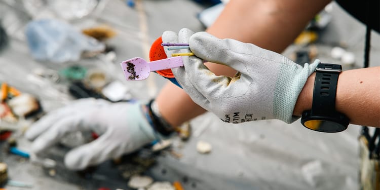 Aiutaci a pulire la spiaggia di Bogliasco!