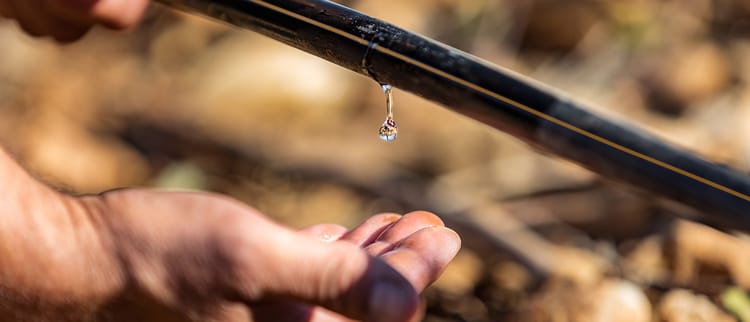 Irrigazione di precisione: usiamo l'acqua in modo efficiente