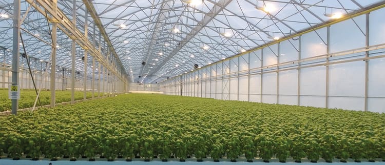 Soluzioni di irrigazione di precisione per colture protette