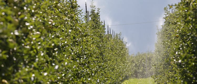 Melinda e Netafim per una melicoltura ancora più sostenibile