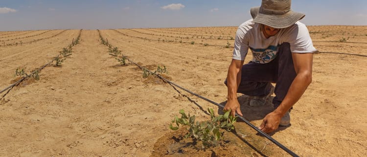 Irrigazione di precisione: il potere agli agricoltori
