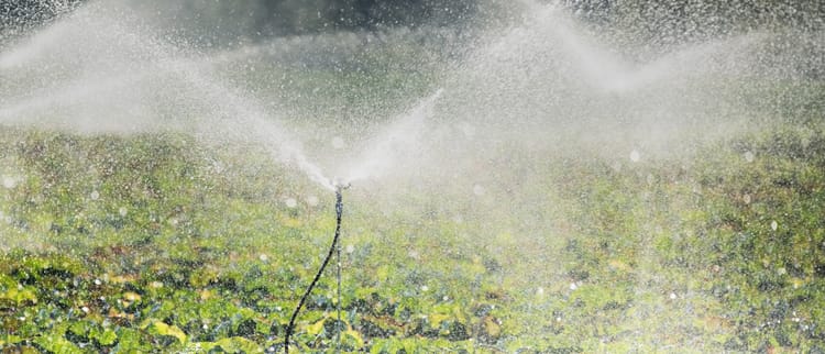 Irrigatori e micro-irrigatori