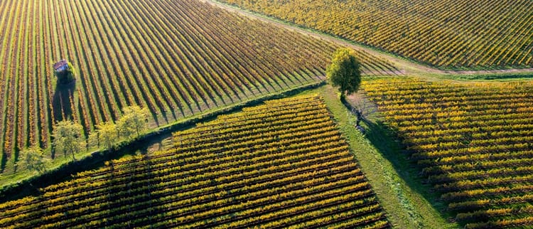 Progettazione e Installazione su misura