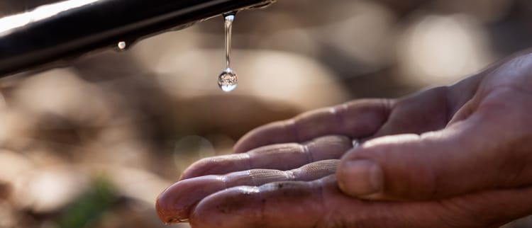 Innovazione sostenibile