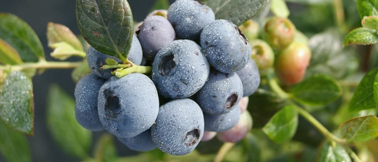 ΥΔΡΟΛΙΠΑΝΣΗ ΑΚΡΙΒΕΙΑΣ: ΚΑΛΥΤΕΡΕΣ ΑΠΟΔΟΣΕΙΣ ΚΑΘΕ ΧΡΟΝΟ