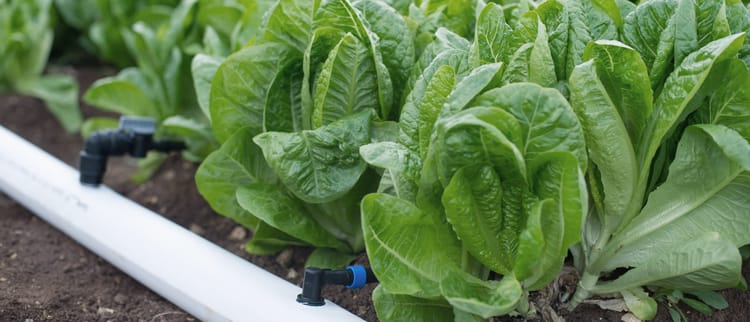 ΕΥΚΑΜΠΤΟΙ ΑΓΩΓΟΙ ΚΑΙ ΑΓΩΓΟΙ ΠΟΛΥΑΙΘΥΛΕΝΙΟΥ ΓΙΑ ΑΡΔΕΥΣΗ ΑΚΡΙΒΕΙΑΣ