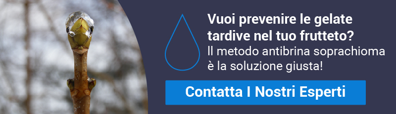 Come prevenire le gelate tardive dei frutteti