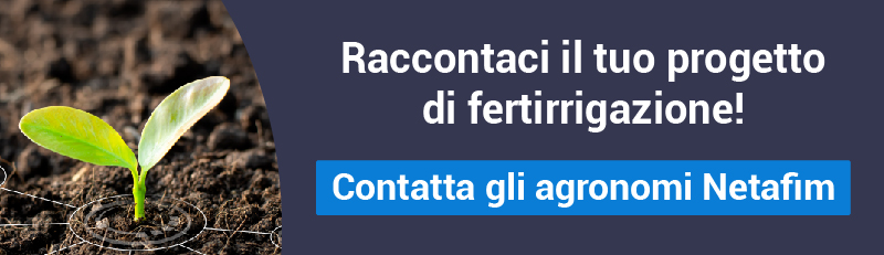 contatta-netafim-fertirrigazione.jpg