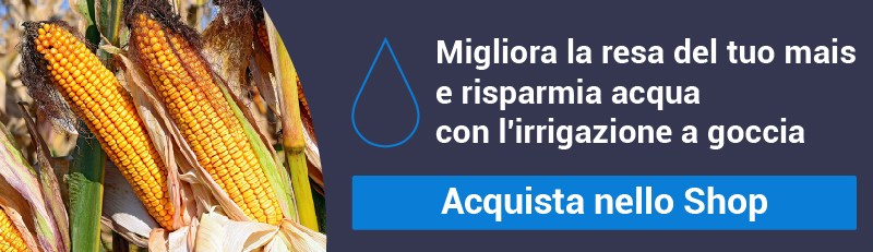 soluzioni-irrigazione-goccia-mais-netafim.jpg