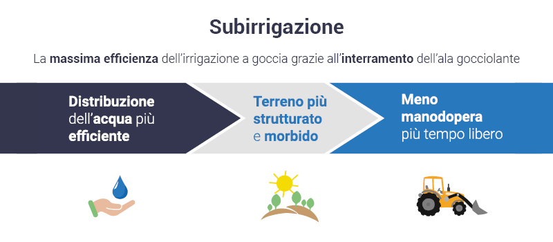 subirrigazione-vantaggi.jpg