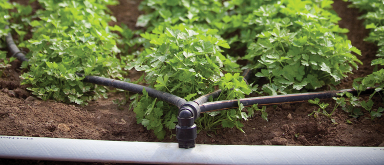Prodotti e soluzioni per l'irrigazione di precisione